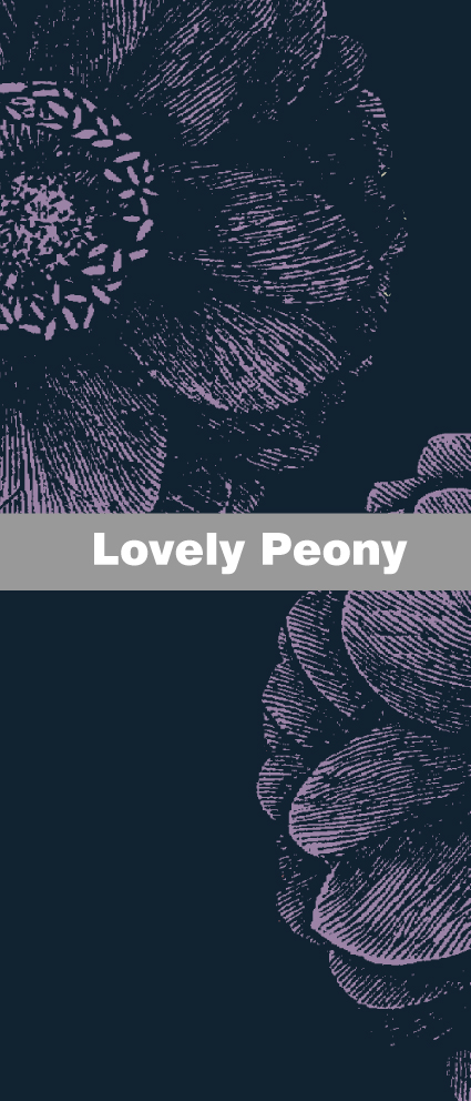 Lovely Peony